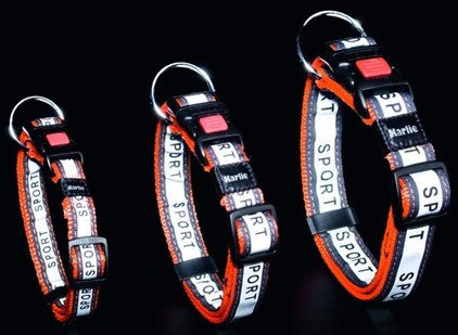 ART JOY PLUS D&N COLLAR ORANGE