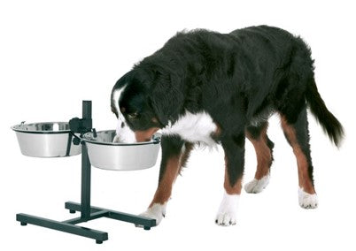 H STANDS WITH DISHES