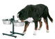 H STANDS WITH DISHES