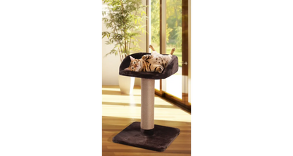 SCRATCH TREE GOLIATH 2