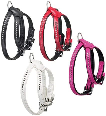 HARNESS MONTE CARLO LARGE