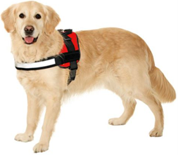 TITAN DOG HARNESS RED