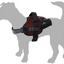 HARNESS ADVENTURE GREY