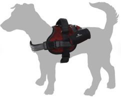 HARNESS ADVENTURE GREY