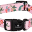 SUE COLLAR XS 20-35cm – 10mm