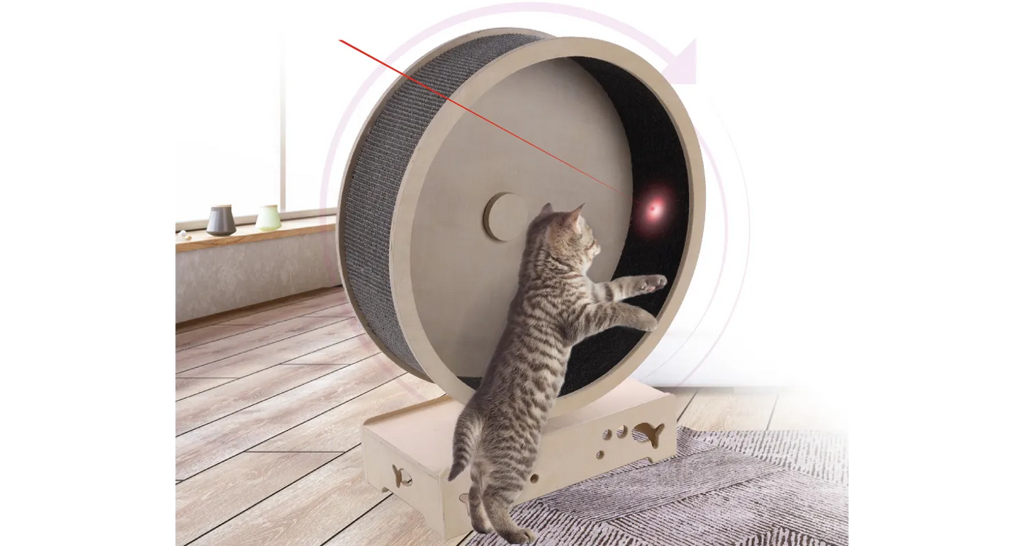 CAT RUNNING WHEEL EKSI GREY