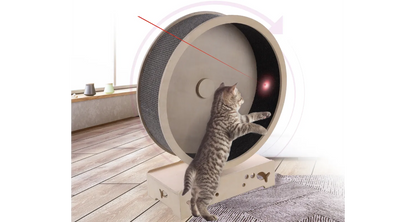 CAT RUNNING WHEEL EKSI GREY