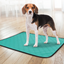 WASHABLE TRAINING PAD PATSY GREEN