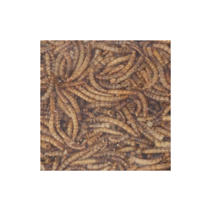 FOUR SEASONS MEALWORMS DRIED 300g