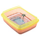 TORTUGAS PLASTIC TURTLE TANK