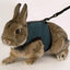ANIMAL HARNESS JOGGING
