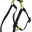 EASY P HARNESS