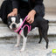KAORI DOG HARNESS PINK