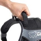 GENIUS HARNESS BLACK
