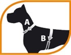 GENIUS HARNESS BLACK