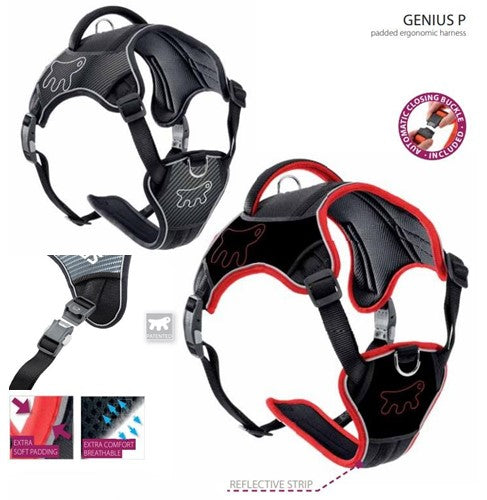 GENIUS HARNESS BLACK