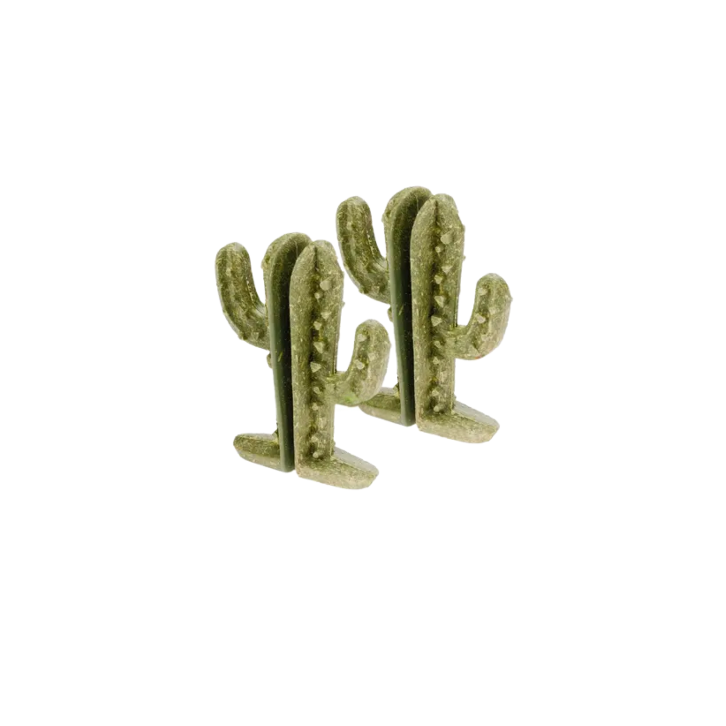 RODENT VEGGIE BITES CACTUS