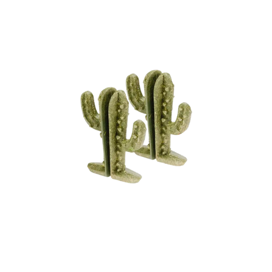RODENT VEGGIE BITES CACTUS
