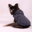COAT LUZA GREY