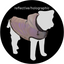 COAT LUZA GREY