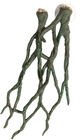 JUNGLE WOOD 3