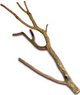 CORK BRANCHES