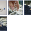 PLANARIA X