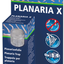 PLANARIA X