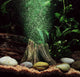 AQUARIUM DECORATIONS