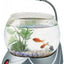 HAILEA MINI FISH BOWL LED