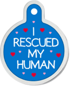 LARGE SILVER CIRCLE TAG