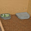 HABISTAT TORTOISE POOL