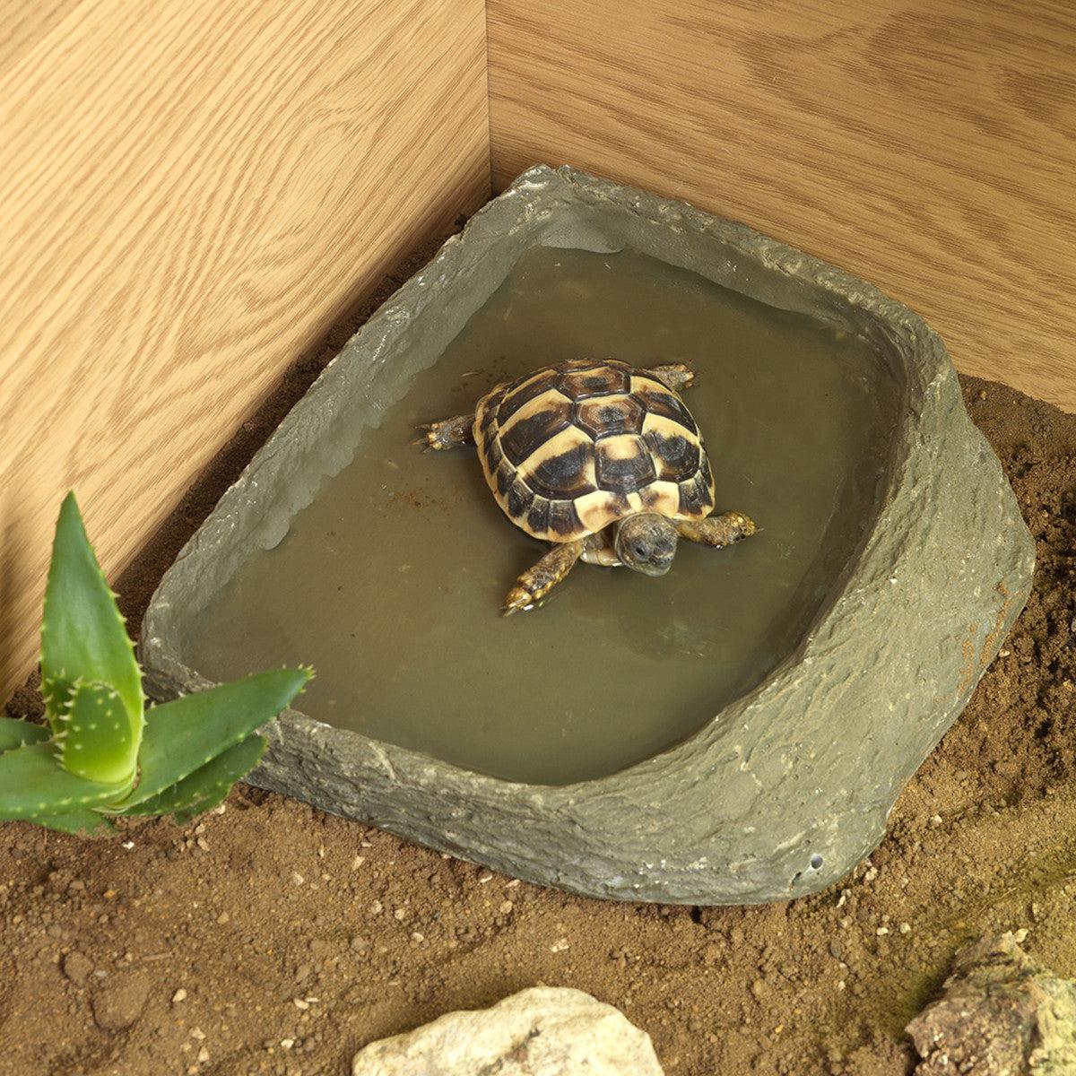 HABISTAT TORTOISE POOL