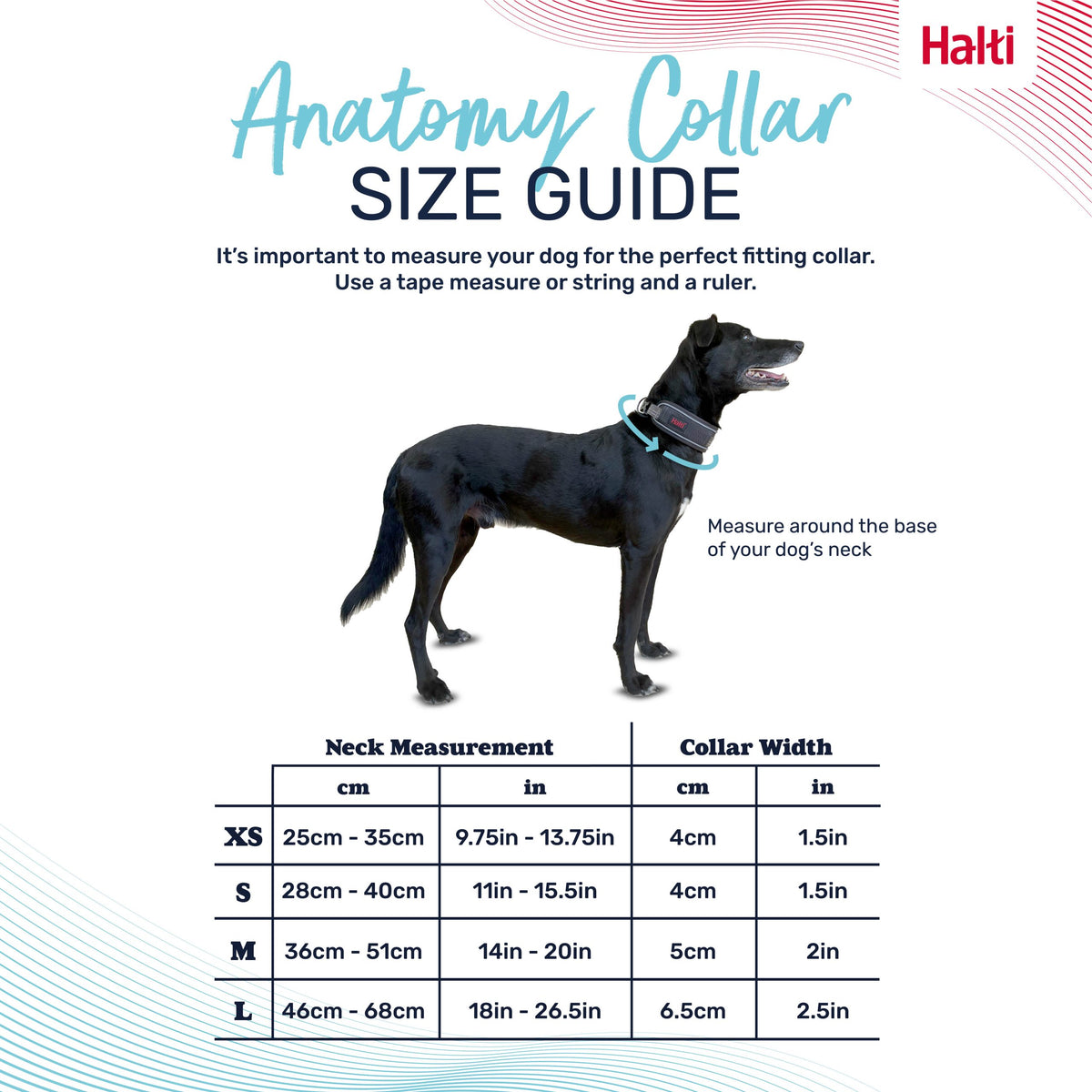 HALTI ANATOMY COLLAR MAGENTA