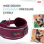 HALTI ANATOMY COLLAR MAGENTA