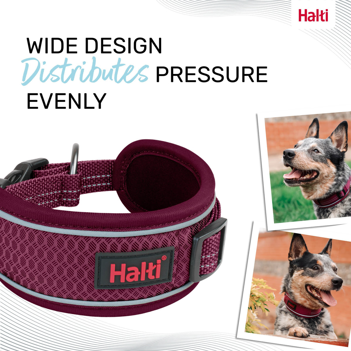 HALTI ANATOMY COLLAR MAGENTA