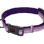 HALTI COLLAR SMALL