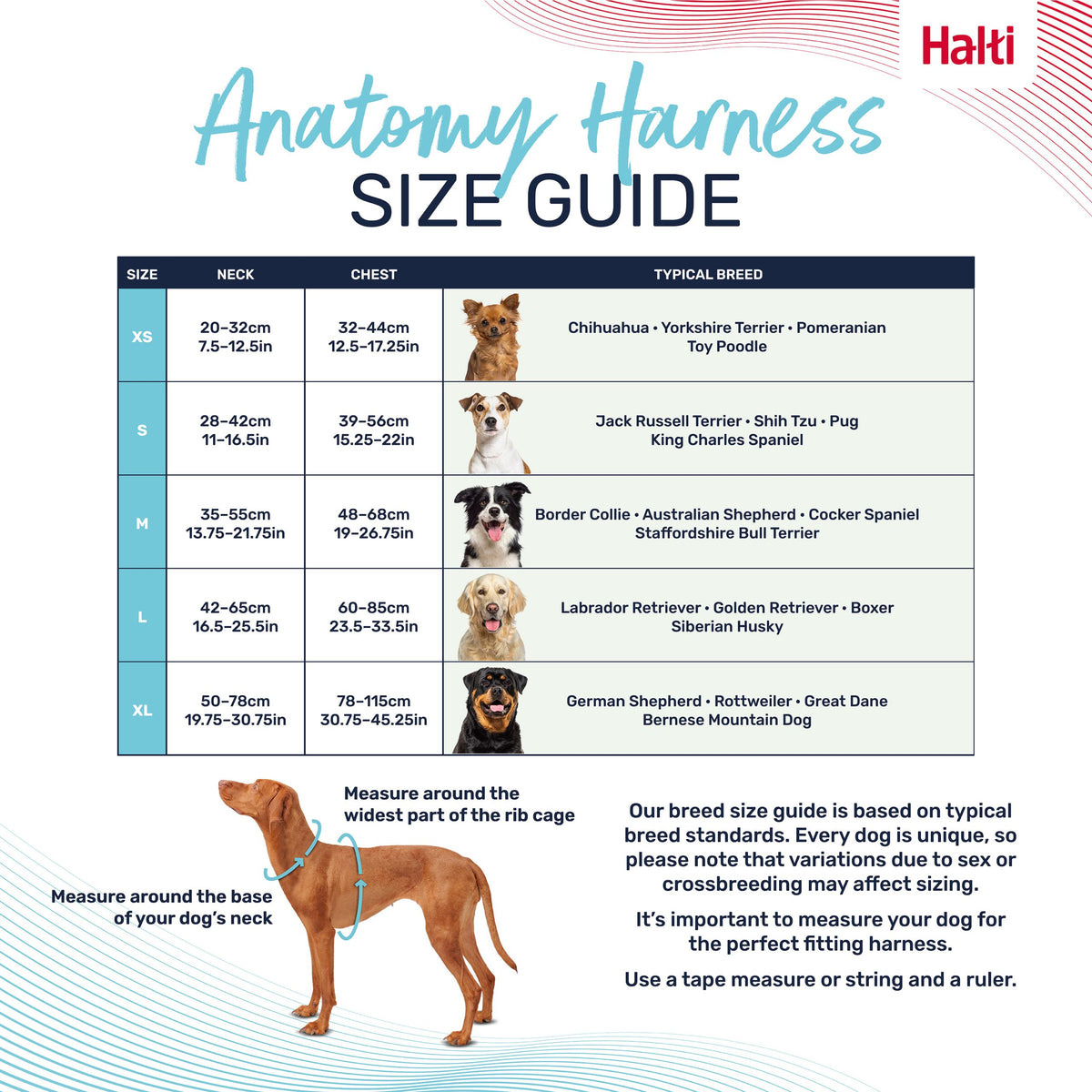 HALTI ANATOMY HARNESS GREY