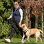 HALTI NO PULL HARNESS
