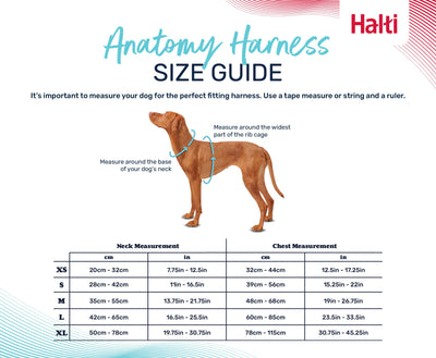 HALTI ANATOMY HARNESS GREEN