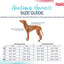 HALTI ANATOMY HARNESS MAGENTA