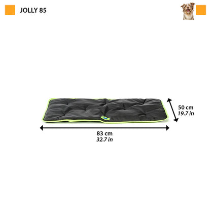 JOLLY 85