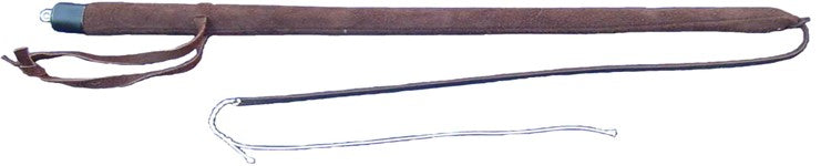Training whip