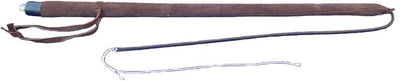 Training whip