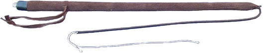 Training whip