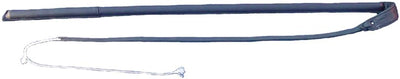 Training whip