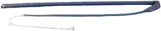 Training whip