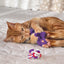 CAT ACTIVE ROPE 2-PK
