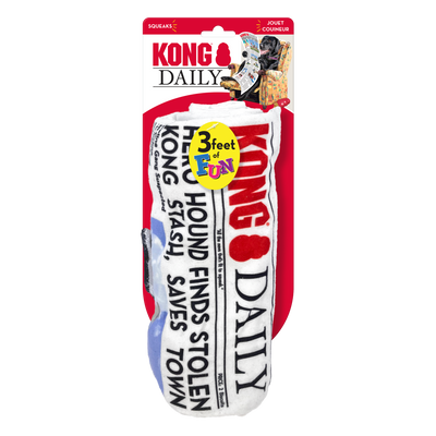 KONG DAILY