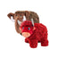 KONG TOUGHZ